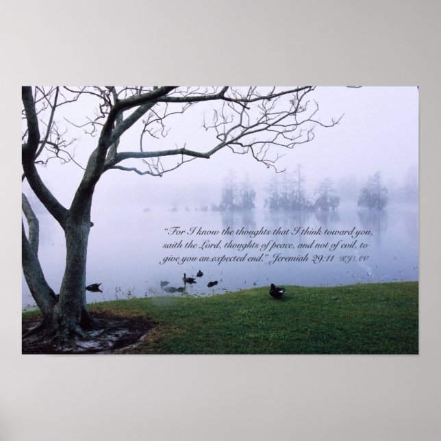 Jeremiah 29:11 Scripture Poster Print (Vorne)