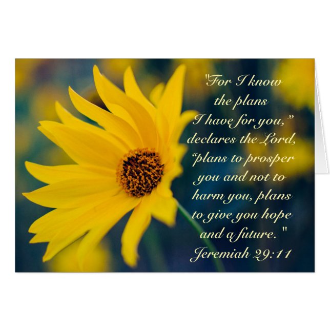 Jeremiah 29:11Ich kenne die Pläne, die ich für Sie (Vorderseite (Horizontal))