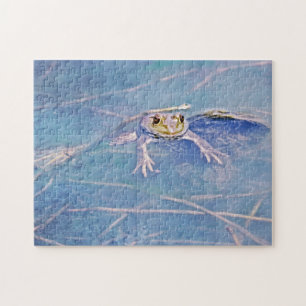 Jeremiah Fun Bullfrog Frozzle
