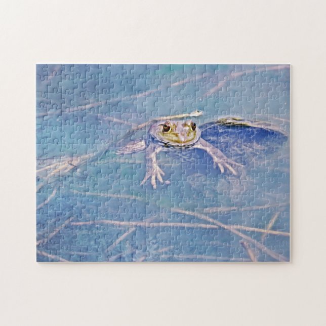 Jeremiah Fun Bullfrog Frozzle (Horizontal)