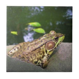 Jeremy Fisher Fliese