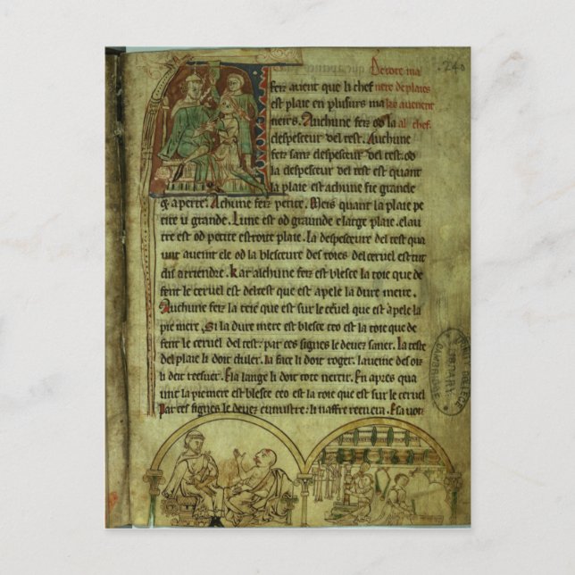 Jerome: Ein Arzt, der einen Patienten besucht Postkarte (Vorderseite)
