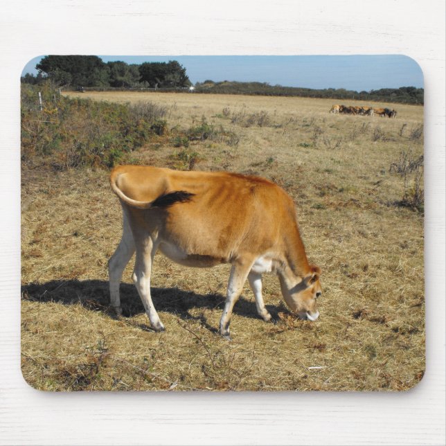 Jersey calf mousepad (Vorne)