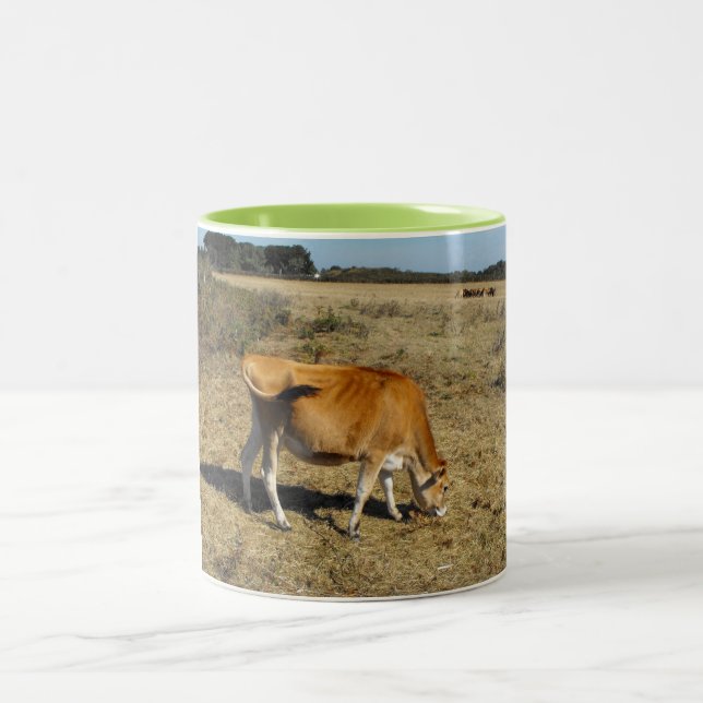 Jersey calf zweifarbige tasse (Mittel)