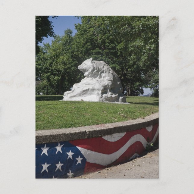 Jersey City Bear Postkarte (Vorderseite)