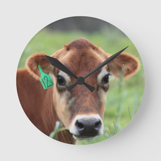 Jersey Cow Runde Wanduhr (Vorderseite)