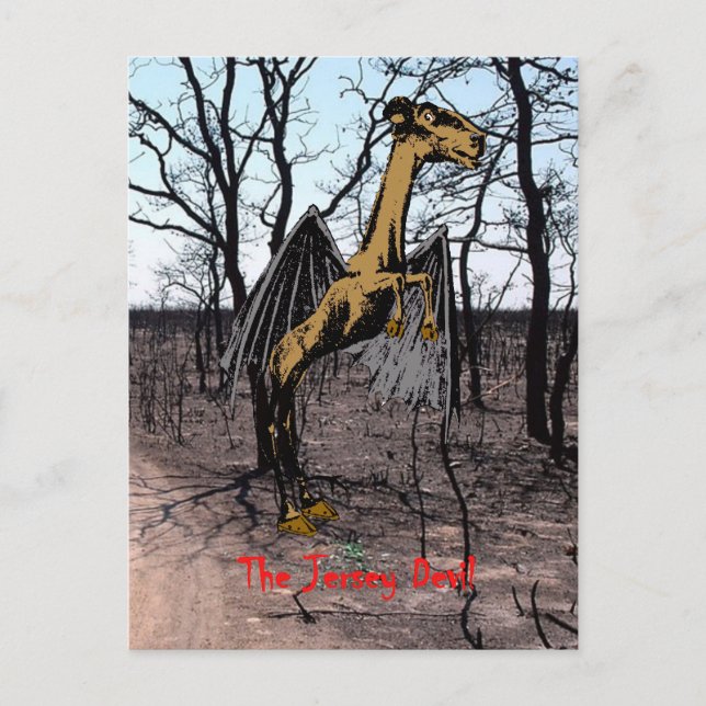 Jersey Devil Postkarten (Vorderseite)