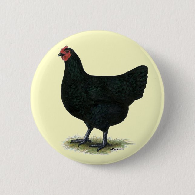 Jersey Giant: Black Hen Button (Vorderseite)