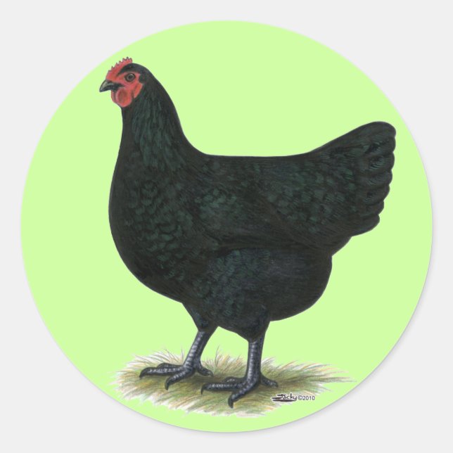 Jersey Giant: Black Hen Runder Aufkleber (Vorderseite)