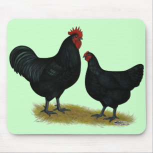 Jersey Giant Chickens Mousepad