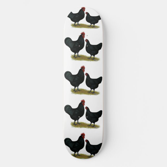 Jersey Giant Chickens Skateboard (Vorderseite)