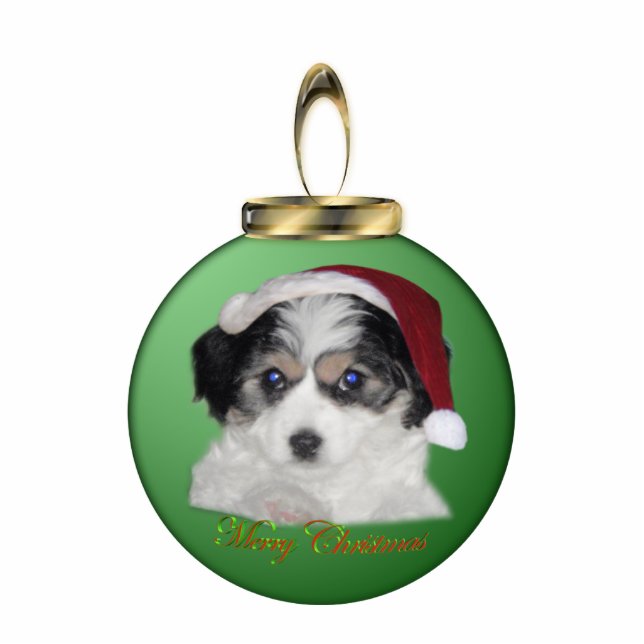 Jersey Santa Ornament Fotoskulptur Ornament (Vorne)