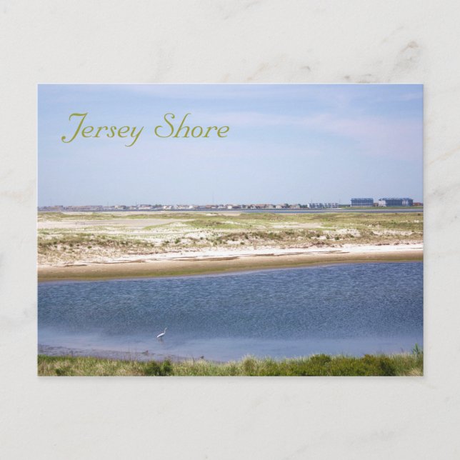 Jersey Shore Point Postcard Postkarte (Vorderseite)