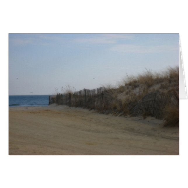 Jersey Shore * Weicher Strand (Vorderseite (Horizontal))
