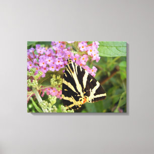Jersey Tiger Butterfly Canvas Print Leinwanddruck