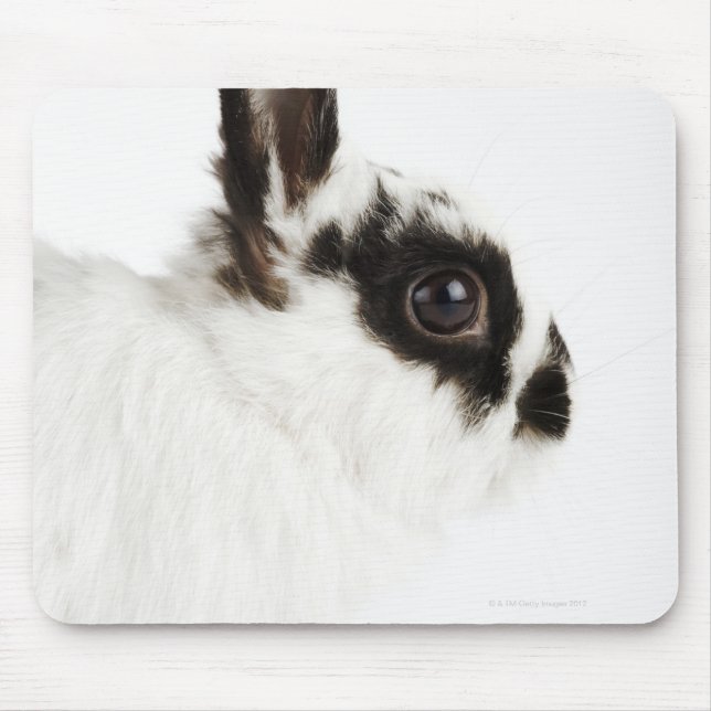 Jersey Wood Rabbit Mousepad (Vorne)