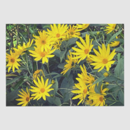 Jerusalem Artichoke Seidenpapier