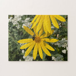 Jerusalem-Blume mit Biene