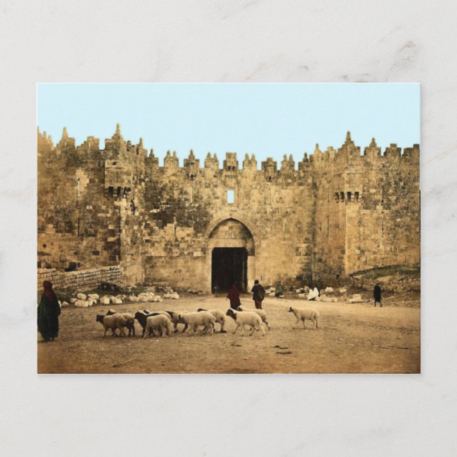 Jerusalem - Damaskustor Postkarte (Vorderseite)