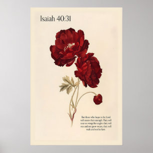 Jesaja 4031 Wandkunst Druck – Rote Päonien Botanis Poster