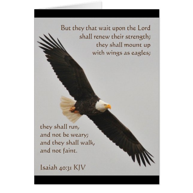 Jesaja 40:31 Aber sie, die auf den Herrn warten (Vorne)