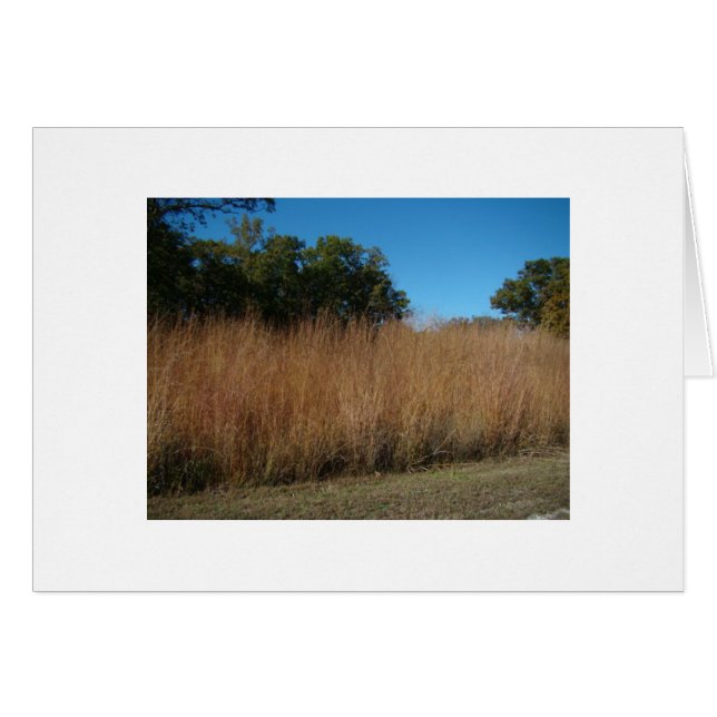 Jesaja-40:8, -gras u. -Blumen (Vorderseite (Horizontal))