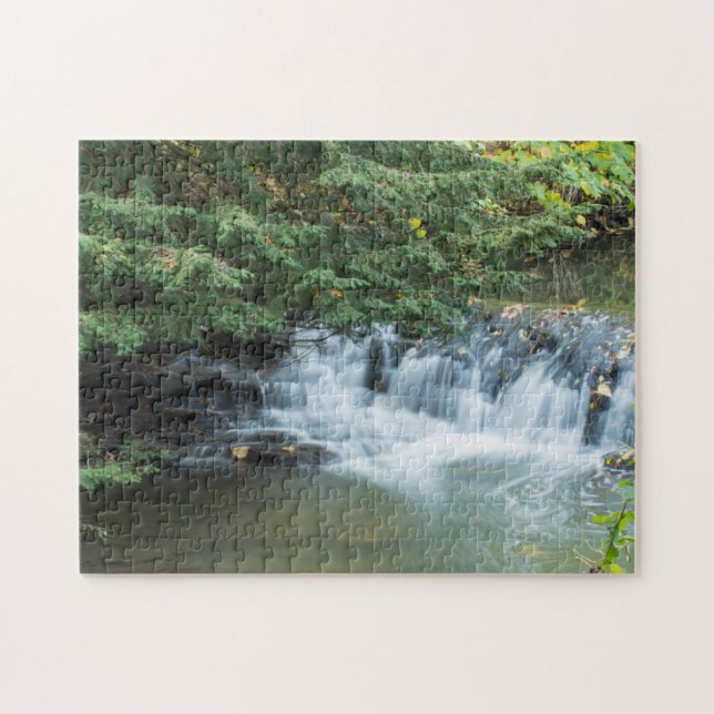 Jesmond Dene (Horizontal)