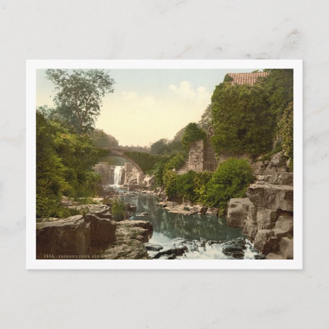 Jesmond Dene II, Newcastle-upon-Tyne, England Postkarte (Vorderseite)