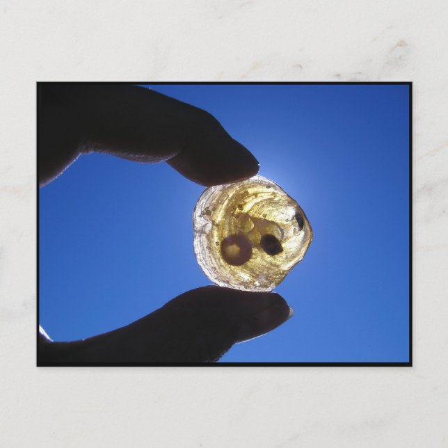 Jessups Hals, Long Island Postkarte (Vorderseite)