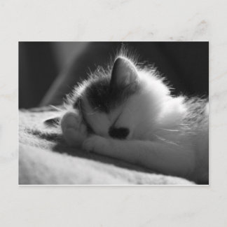 jessy jane - Carte postale