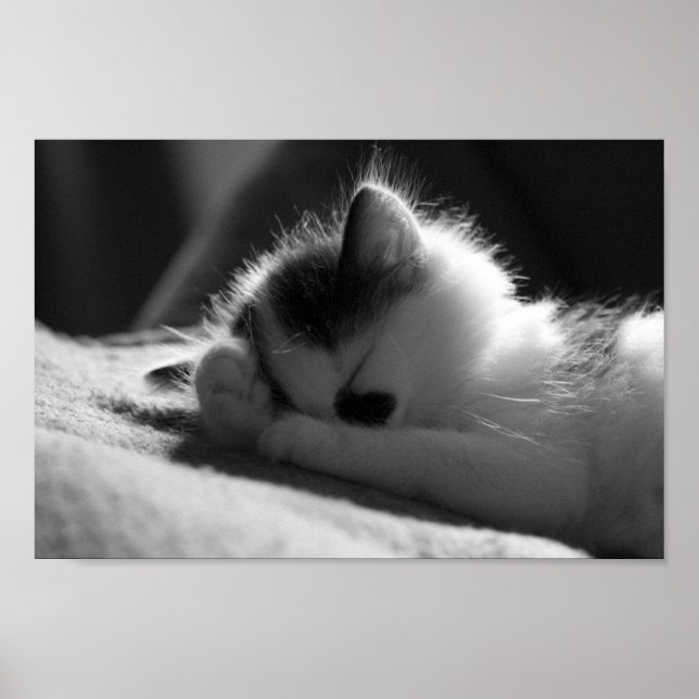 Jessy Jane - Kleines Poster (Vorne)