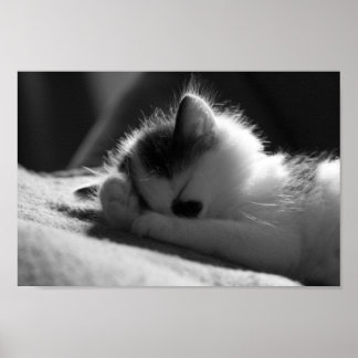 Jessy Jane - Petit poster