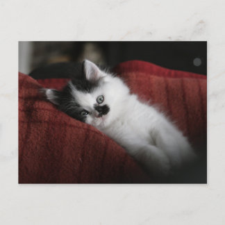 Jessy Jane - Postkarte