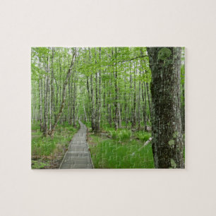 Jesup Path Boardwalk Trail
