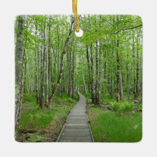 Jesup Path Boardwalk Trail Keramikornament