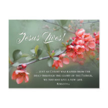Jesus lebt Frühlingsblumen Bibel Verse Ostern