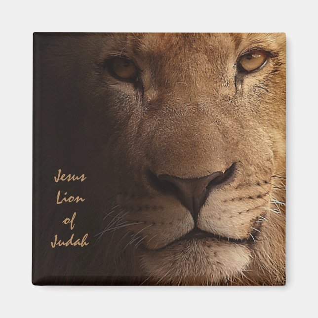 Jesus Lion of Judah Christliches Zitat Magnet (Vorne)