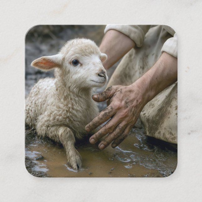 Jesus rettet ein Lamm aus einer Schlammkugel Quadratische Visitenkarte (Vorderseite)