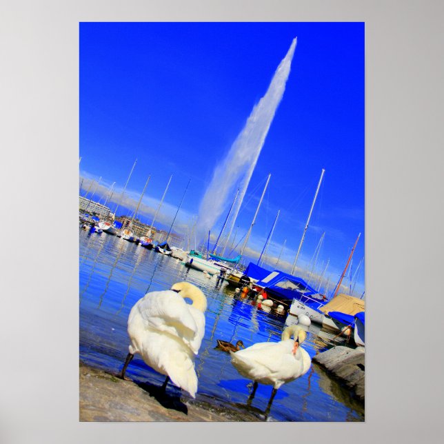 Jet d'Eau Poster (Vorne)