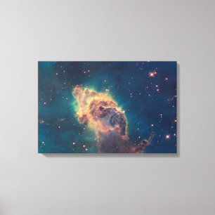 Jet in Carina Wrapped Canvas Leinwanddruck