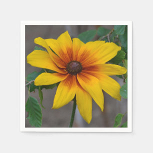 Jetable serviette Noir-eyed de Susan