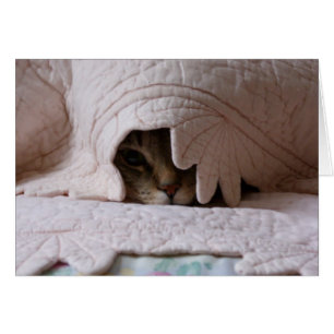 Jeter un coup d'oeil la carte de Tom