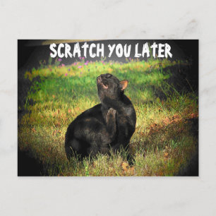 Jetzt beschäftigt? Scratch Sie später Postkarte