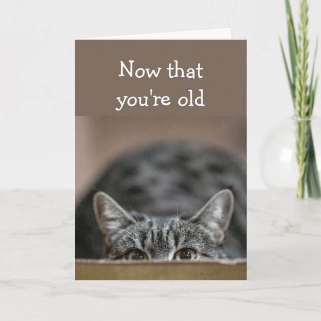 Jetzt, da Sie alt sind, verschnüren Sie den Katzen Karte (Vorderseite)