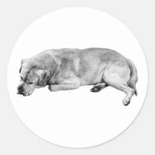 Jetzt fertig, guter Hund Runder Aufkleber