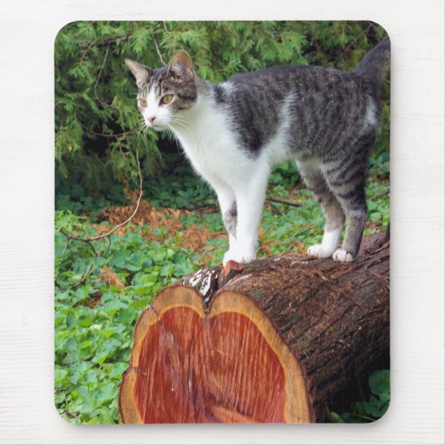 Jetzt haben Sie meine Aufmerksamkeit - Kitty Mouse Mousepad (Vorne)