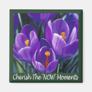 Jetzt Moment-Magnet Magnet