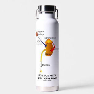 Jetzt wissen Sie, warum ich Diurese machen muss Trinkflasche