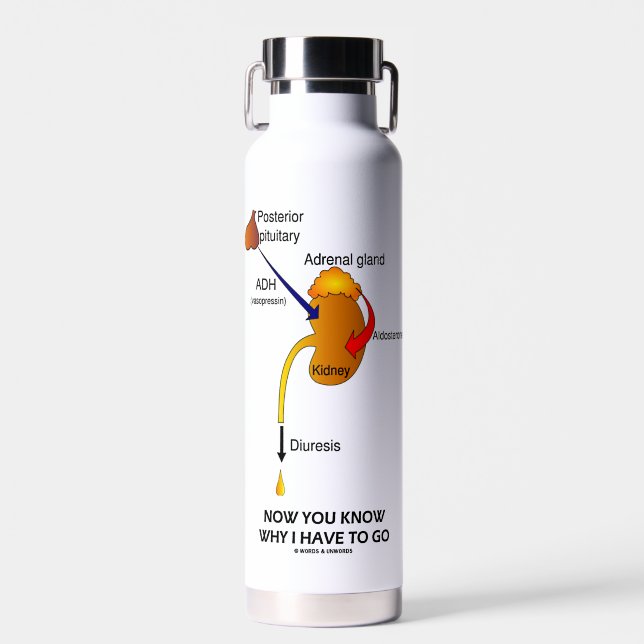 Jetzt wissen Sie, warum ich Diurese machen muss Trinkflasche (Vorne)