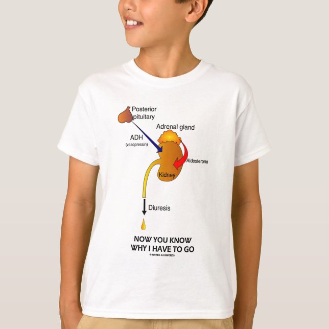 Jetzt wissen Sie, warum ich gehen muss (Diuresis) T-Shirt (Vorderseite)